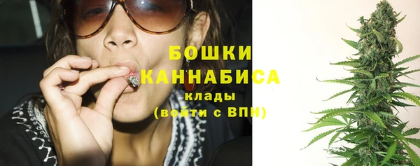 прущие грибы Белокуриха