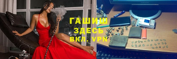 прущие грибы Сосновый Бор