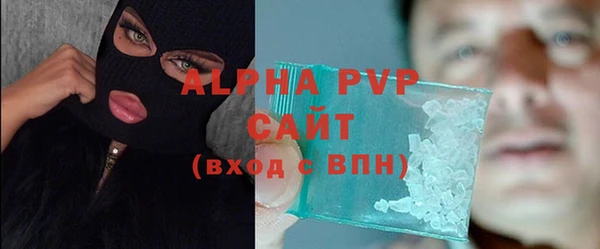 прущие грибы Сосновый Бор