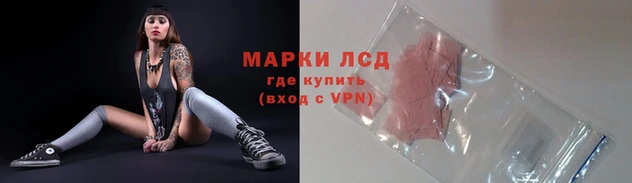 прущие грибы Белокуриха