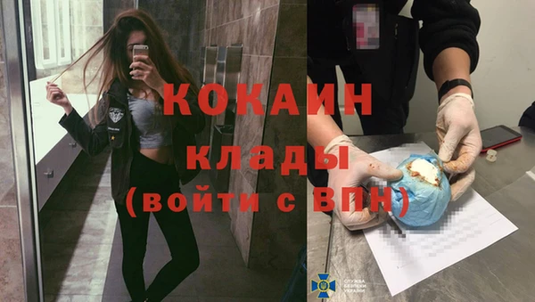 шишки Богородицк