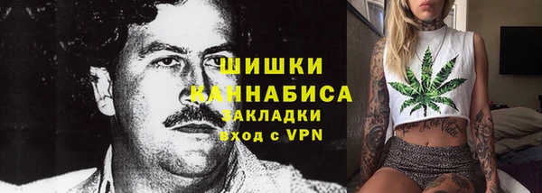 сатива Богданович
