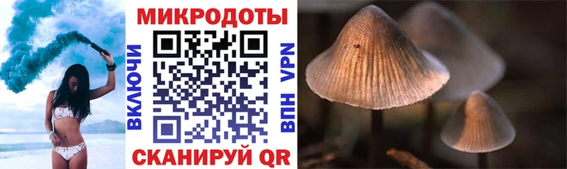 Псилоцибиновые грибы прущие грибы  Белозерск 